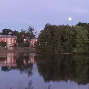 Meet your Posher, Liam